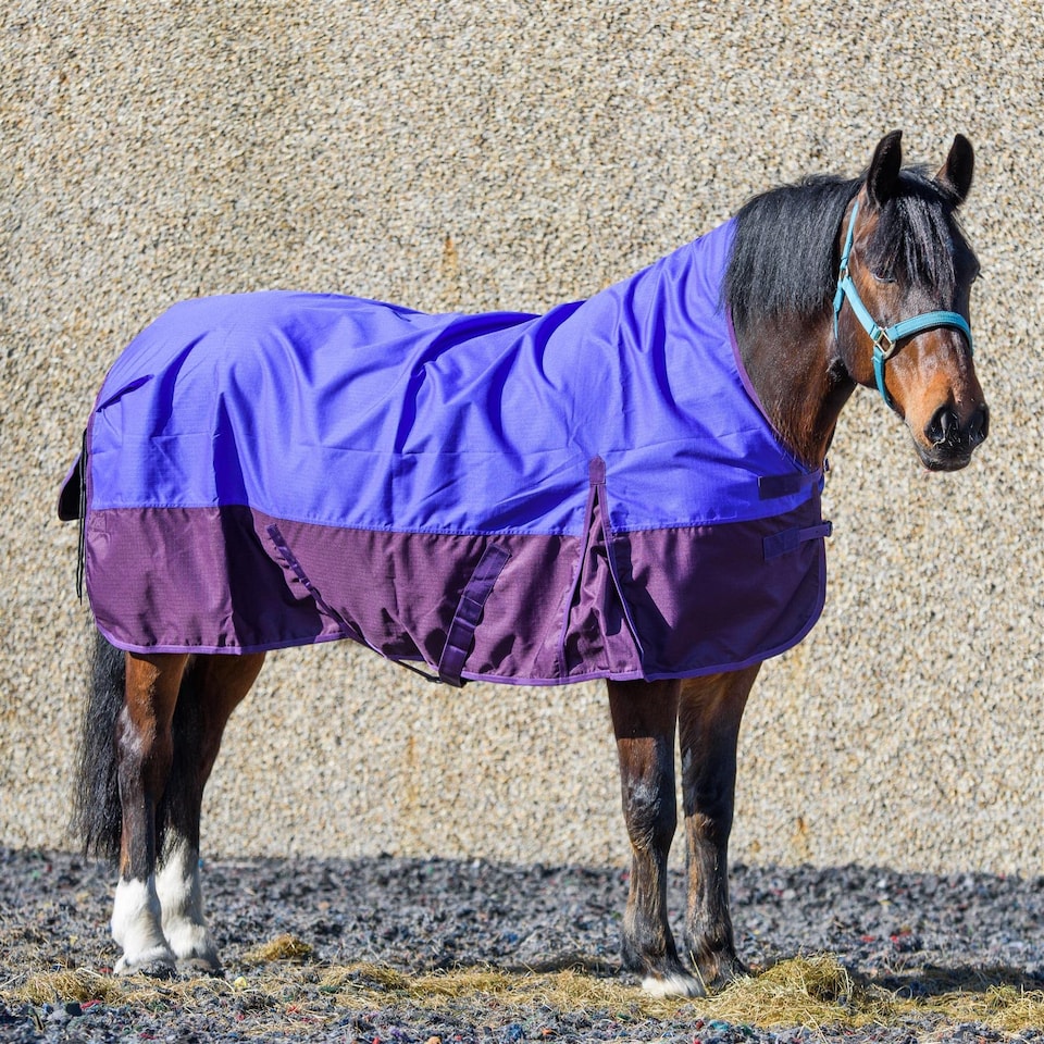 image 1 of eQuitack 600D Waterproof Horse Turnout Rug 0g No Fill Half Neck Purple/Plum 6'9''