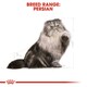 image 4 of Royal Canin Cat Persian Adult 10KG