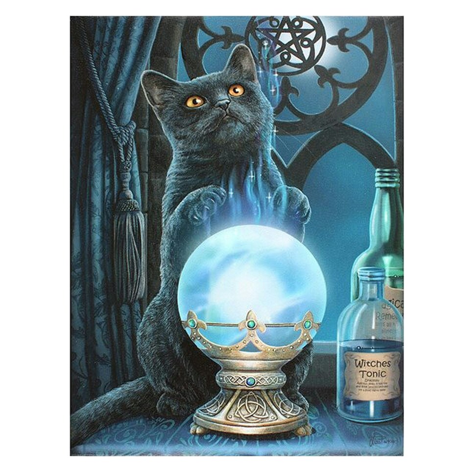 Lisa Parker The Witches Apprentice Canvas - Multicoloured - One Size