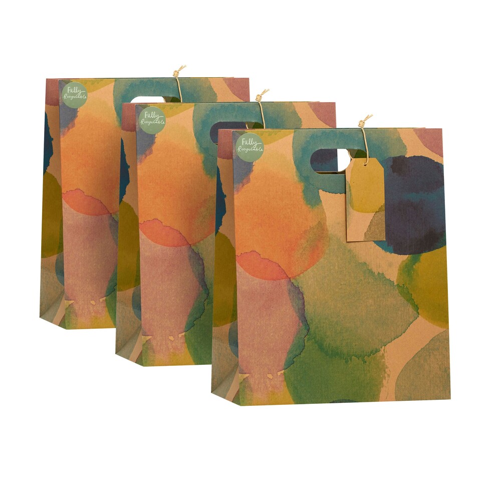 image 1 of Watercolour Kraft Large Gift Bag - Pack of 3