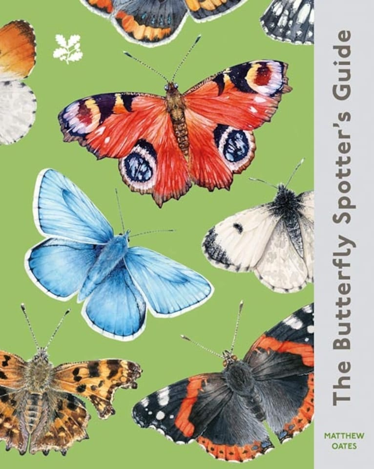 image 1 of The Butterfly Spotter’s Guide