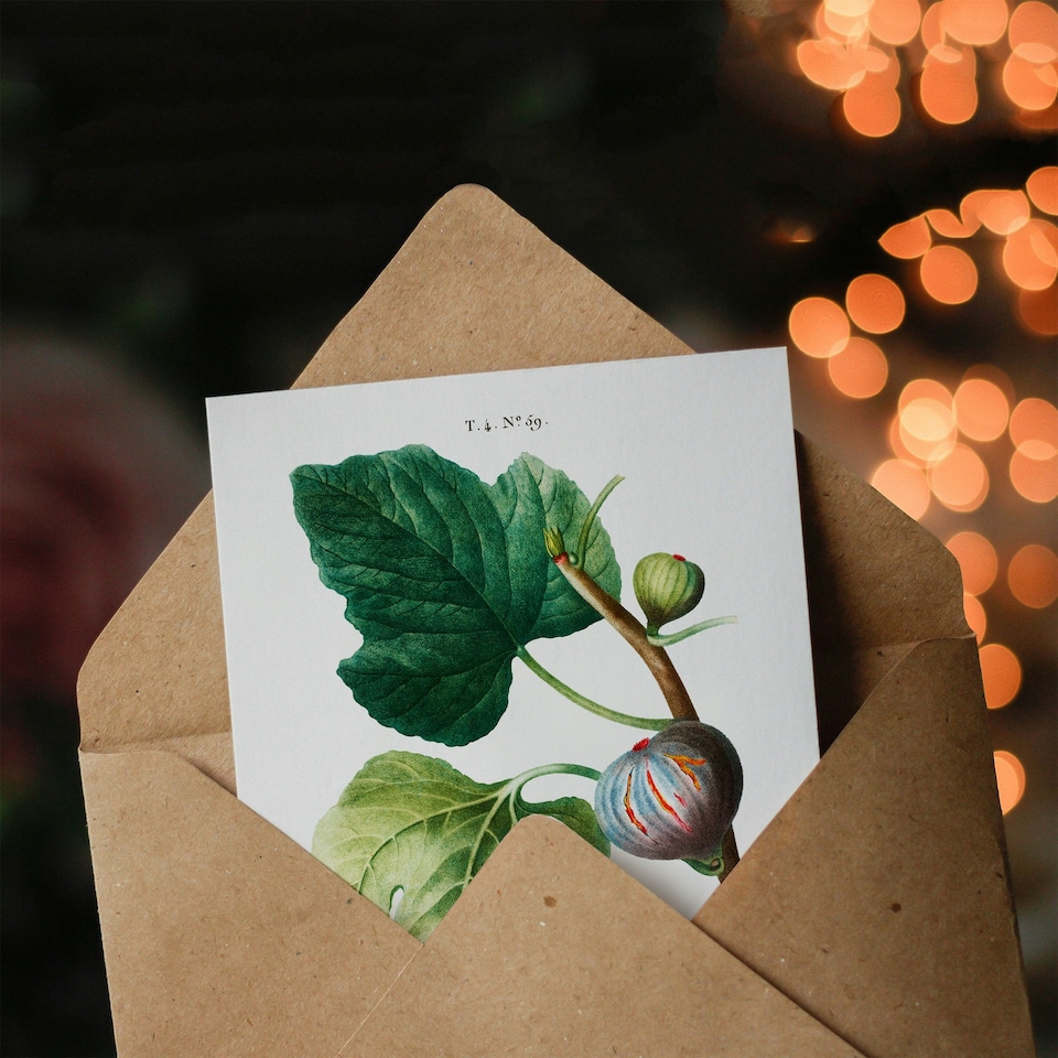 image 1 of Pierre-Joseph Redouté Art Card Vintage Botanical Ficus Carica Fig