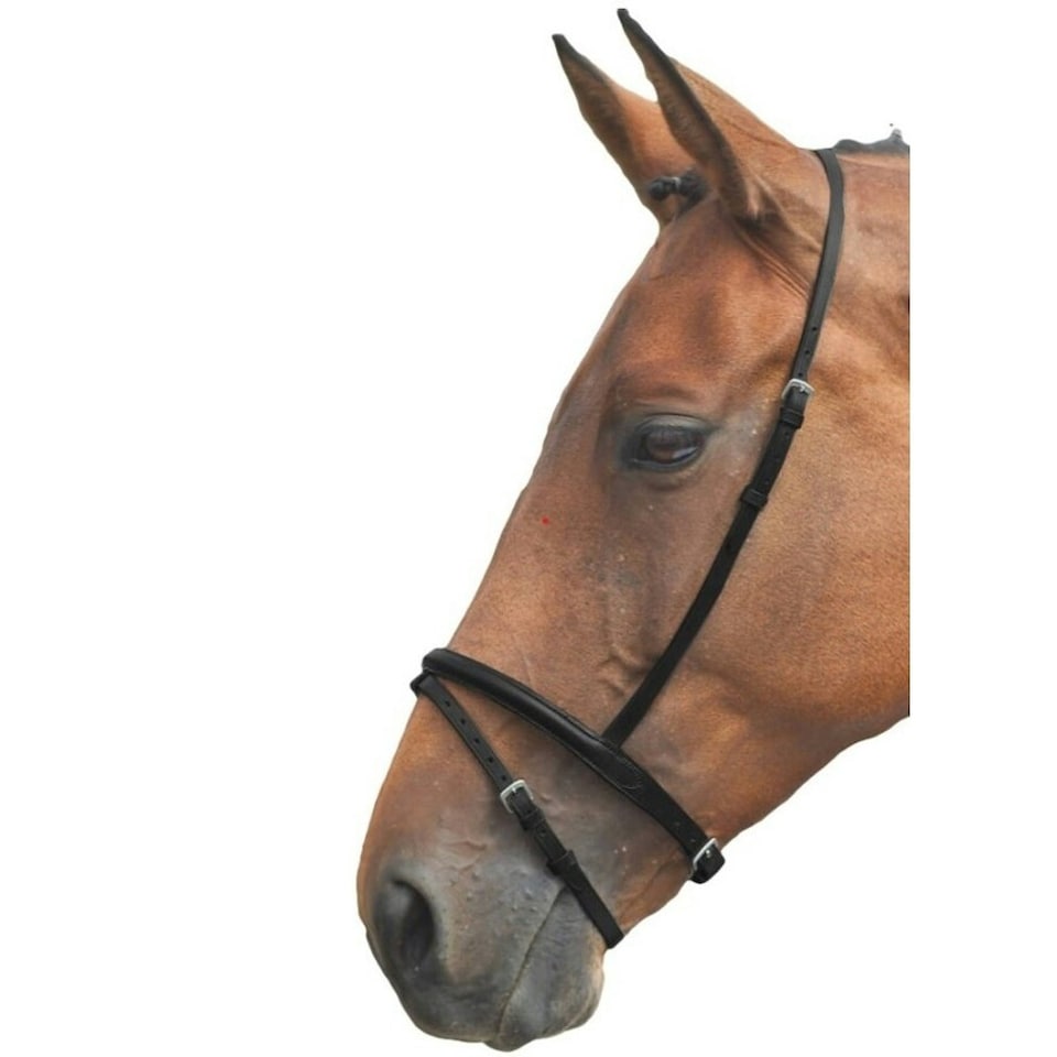 Blenheim Leather Horse Flash Noseband - Black - Pony