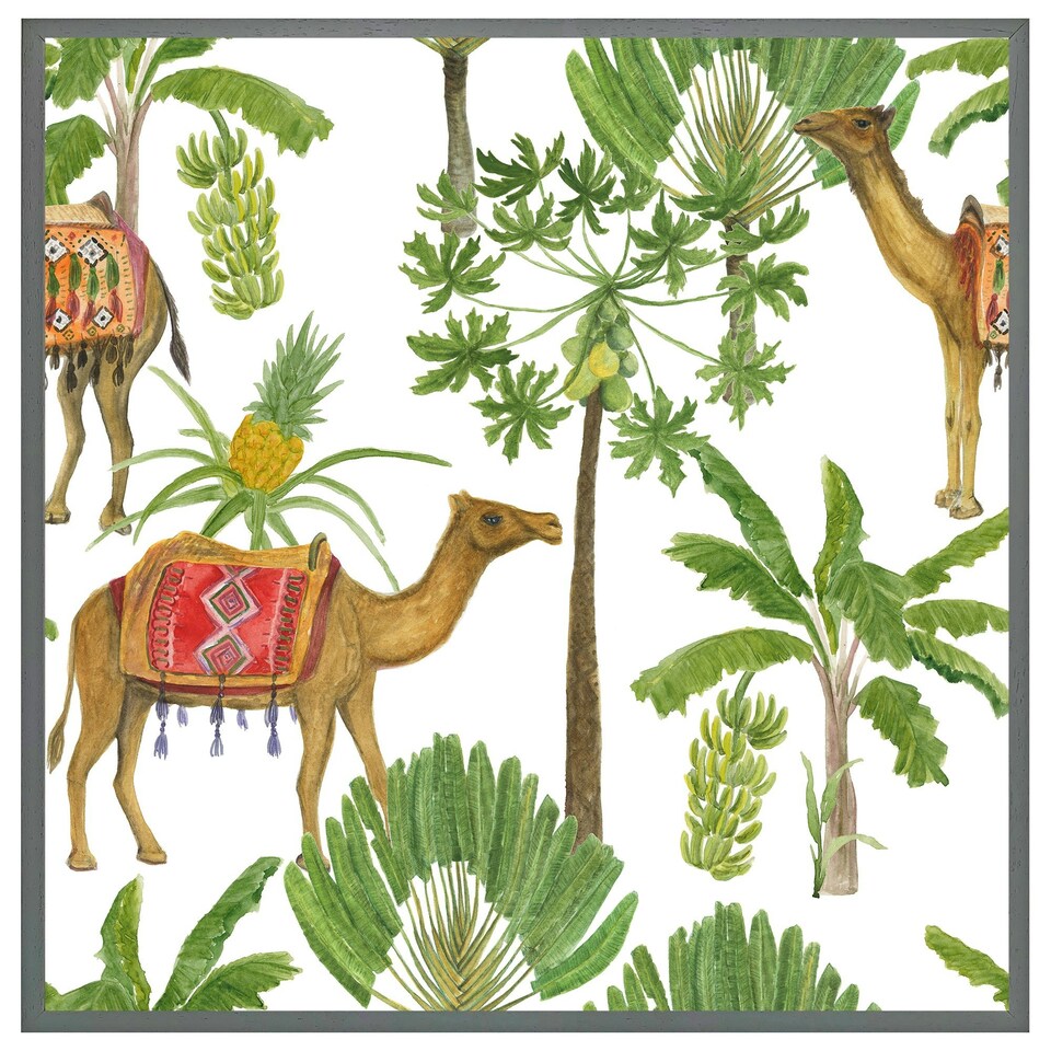 image 1 of Camels & palm trees (Picture Frame) White | L