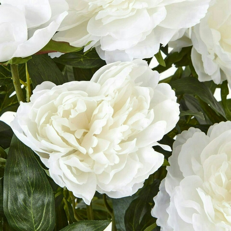 image 1 of Large Peony Plant in Pot - Plastic - L46 x W46 x H71 cm - White