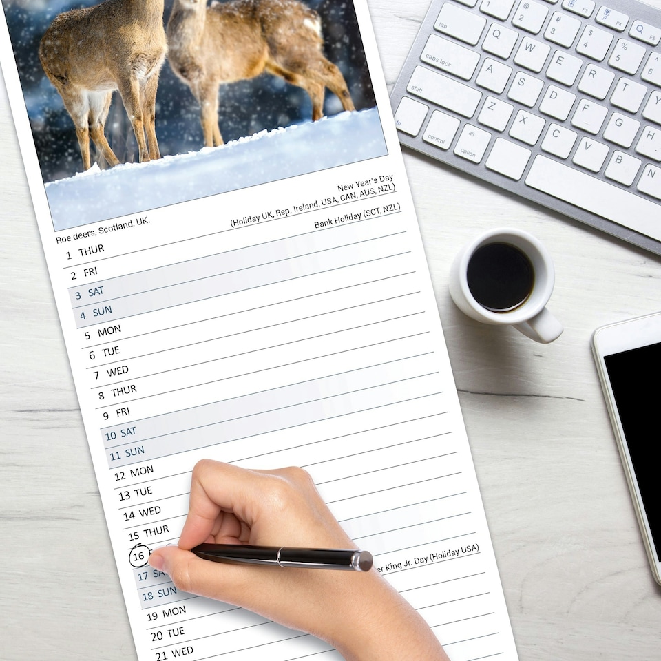 image 1 of Seasons Slim 2026 Calendar | Slimline Wall Calendar | Travel & Nature Gift | Plastic Free Packaging | by Avonside Publishing [Calendar] Avonside Publishing Ltd