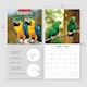 image 4 of Parrots Calendar 2026, Wall Calendars, Month To View, Animals, Gift