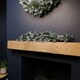 image 1 of 90cm (3ft) Frosted Glacier Christmas Swag with Pine Cones