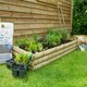 image 3 of Forest Garden Bed Builder Pack - Grow Your Own