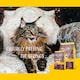 image 4 of Josera Senior complete food for older cats | Easily digestible | Kidney support | Sensitive stomach | Gluten free | Anti-Hairball | Herbs & Fruits | 2kg