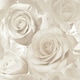 image 1 of Muriva Madison Rose Glitter Wallpaper - Pearl/Cream - One Size Cream