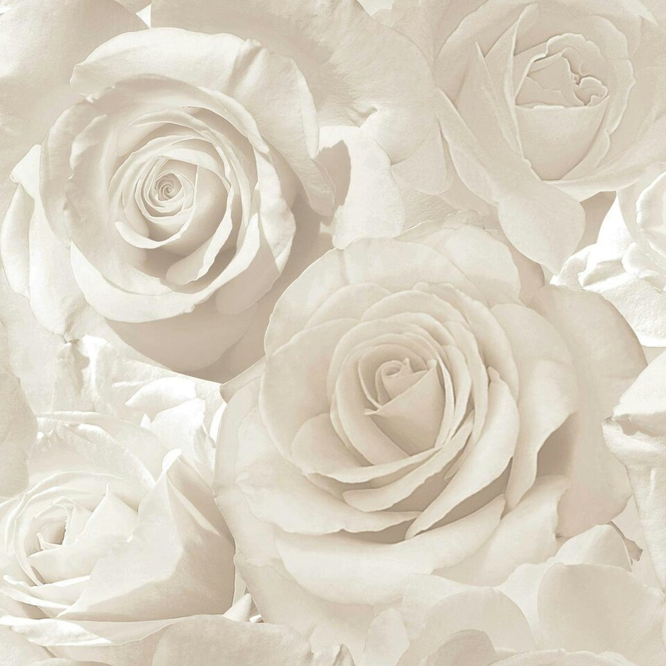 image 1 of Muriva Madison Rose Glitter Wallpaper - Pearl/Cream - One Size Cream