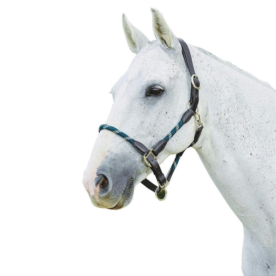 image 1 of Kincade Leather Rope Headcollar - Hunter Green/Brown - Full