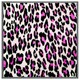 image 4 of Pink fluffy leopard (Picture Frame) White | S
