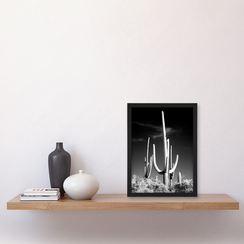 image 1 of Carol M Highsmith Saguaro Cactus Black White Photograph Framed Wall Art Print A4