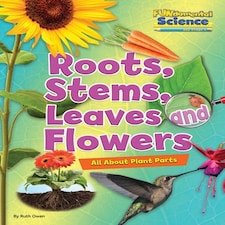 Roots Stems Leaves And Flowers