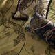 image 4 of Paoletti Moondusk Exotic Animal Jacquard Single Duvet Cover Set