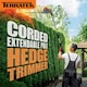 image 7 of Terratek 550W 2.5m Electric Long Reach Hedge Trimmer | Grey | Grey | 1