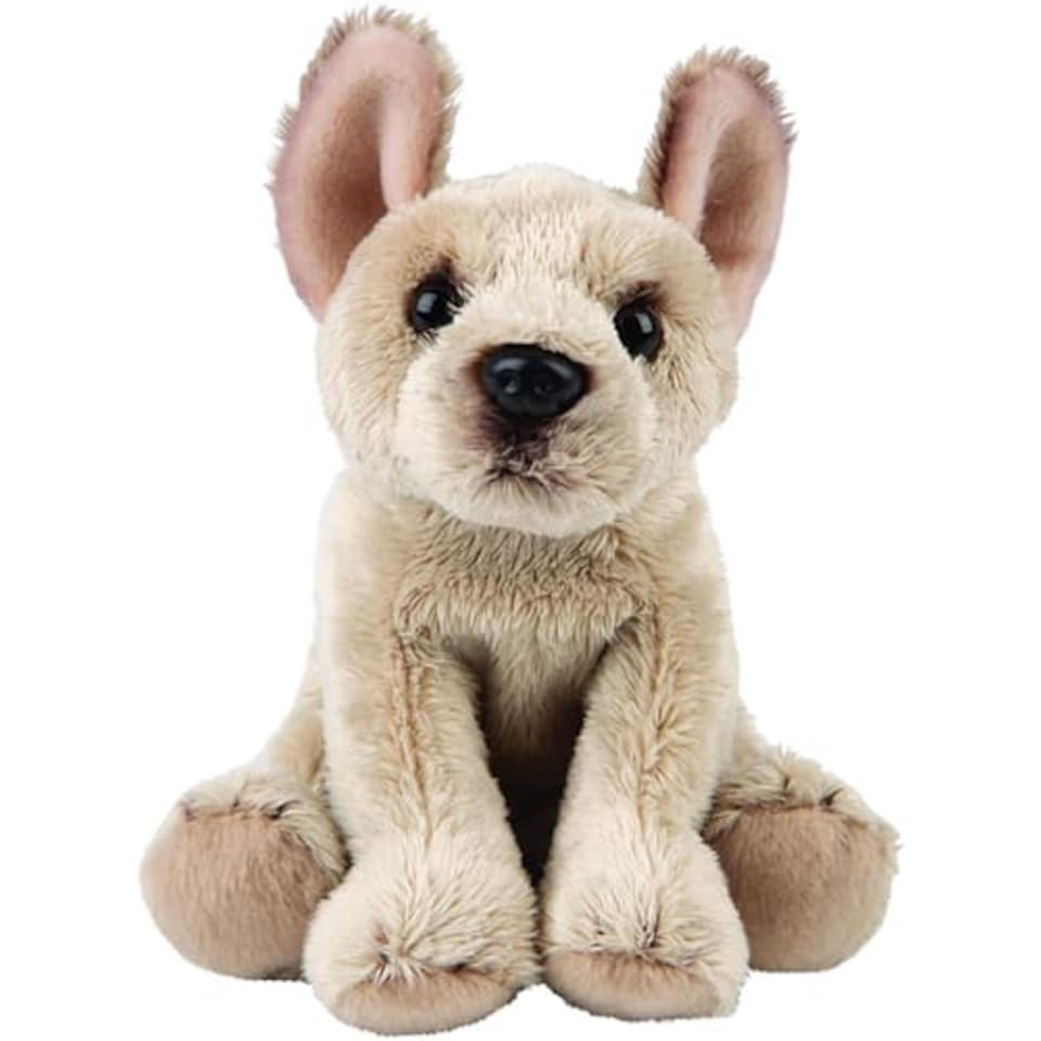 French Bulldog Small Sitting