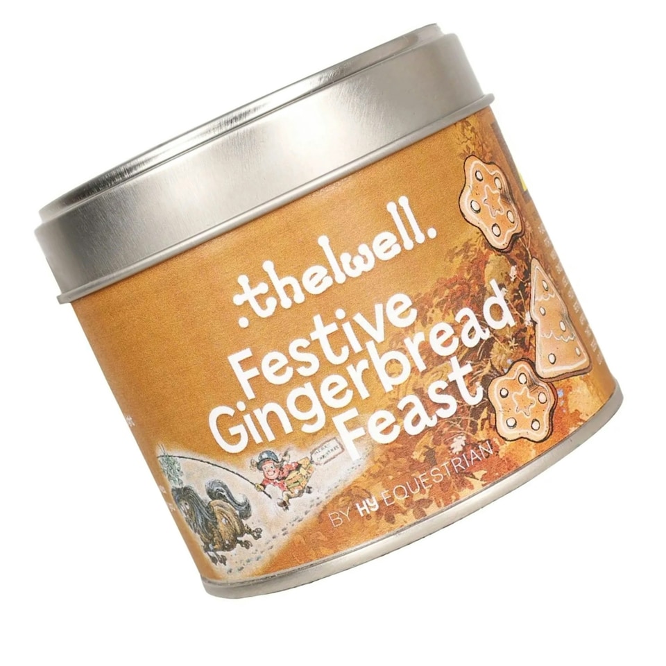 image 1 of Hy Thelwell Collection Festive Gingerbread Feast Candle - Brown - One Size Brown | One Size