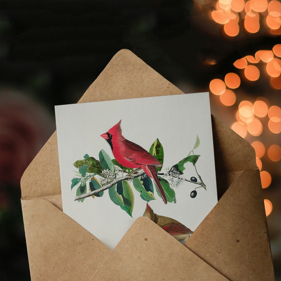 image 1 of John James Audubon Art Card Cardinal Grosbeak Bird
