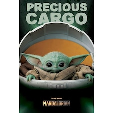 Star Wars The Mandalorian Precious Cargo Poster - Black/Green - One Size