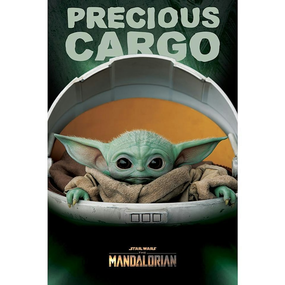 Star Wars The Mandalorian Precious Cargo Poster - Black/Green - One Size