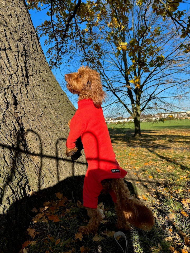 image 1 of Four Legged Dog Fleece - L / Coral | Red | L