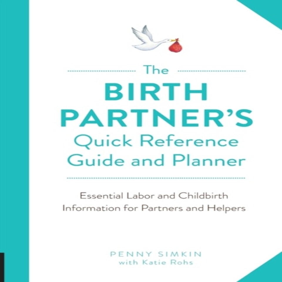 Birth Partners Quick Reference Gde/plann