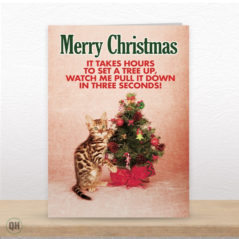 image 1 of It Takes Hours To Set A Tree Up... - Funny Cat Christmas Card