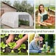 image 6 of Outsunny 6 x 3 x 2 m Polytunnel Greenhouse Pollytunnel Tent w/ Steel Frame White