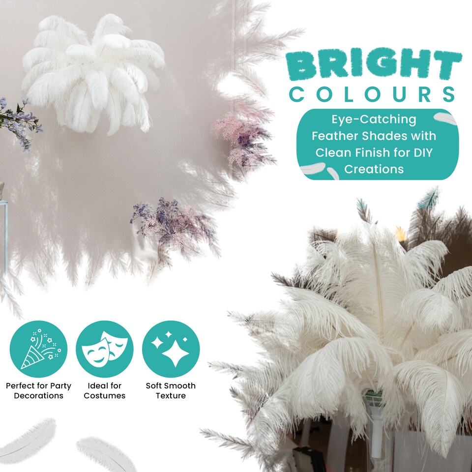 image 1 of 50cm - 60cm Large Ostrich Feathers, Showgirl Spadones - 10pcs