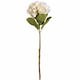 image 1 of Oversized Hydrangea Artificial Flower - Fabric/Plastic - L25 x W25 x H73 cm - White