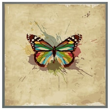 Butterfly & paint splats (Picutre Frame) Grey | XS