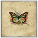 image 1 of Butterfly & paint splats (Picutre Frame) Grey | XS