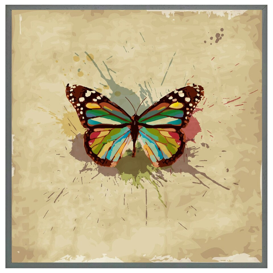 image 1 of Butterfly & paint splats (Picutre Frame) Grey | XS