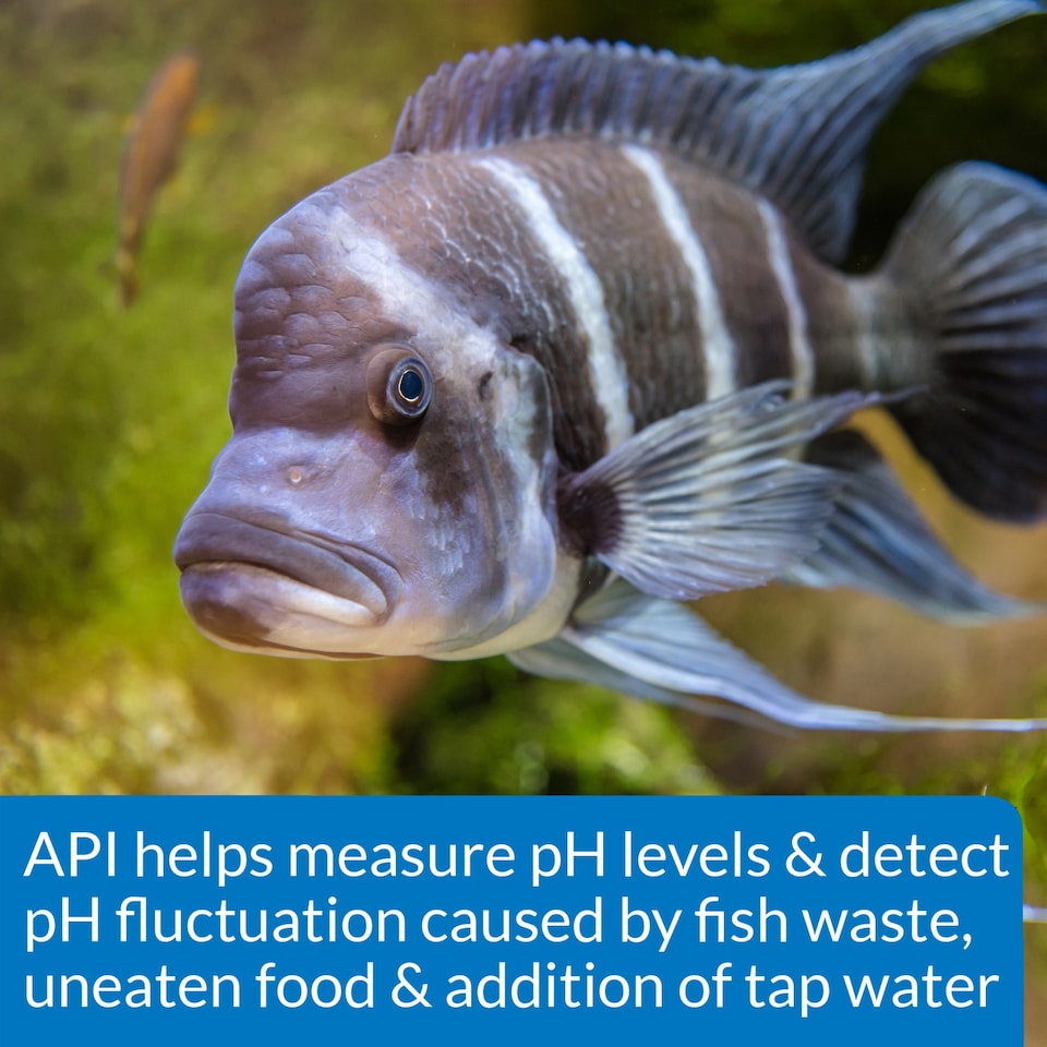 image 1 of API High Range pH Test Kit (160 Tests) Measures Elevated pH for Cichlids & Marine Tanks Aquarium Test Kit