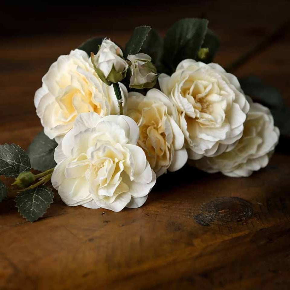 image 1 of Soft White Cottage Rose Stem Artificial Plant - Fabric/Plastic - L8 x W8 x H53 cm - Green