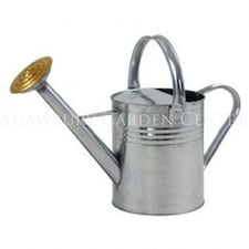 Ambassador Galvanised Watering Can - Silver - 9l