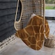 image 4 of Giraffe Print Blanket | Multi