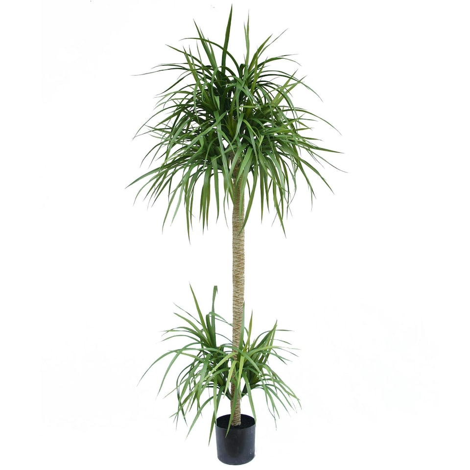 image 1 of 180cm Dracaena Realistic Artificial Tree