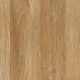 image 5 of Cortina 2 Door Cabinet in Grandson Oak