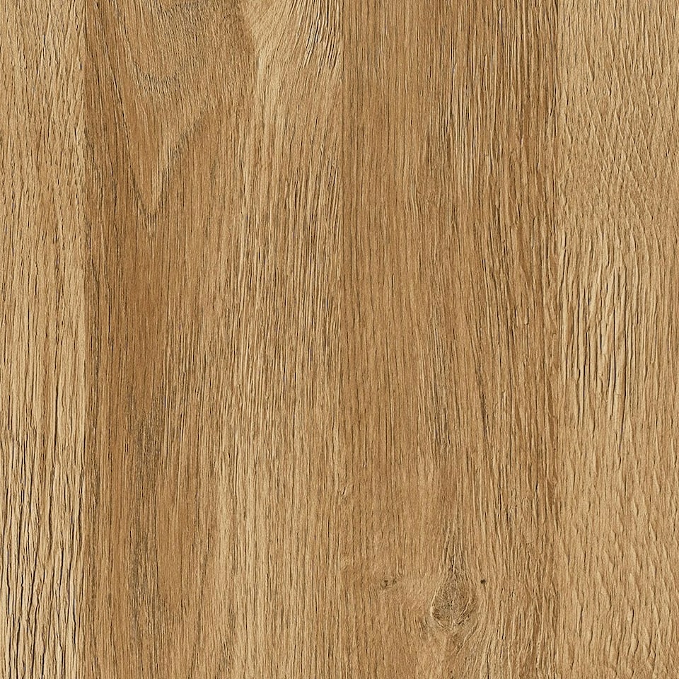 image 1 of Cortina 2 Door Cabinet in Grandson Oak