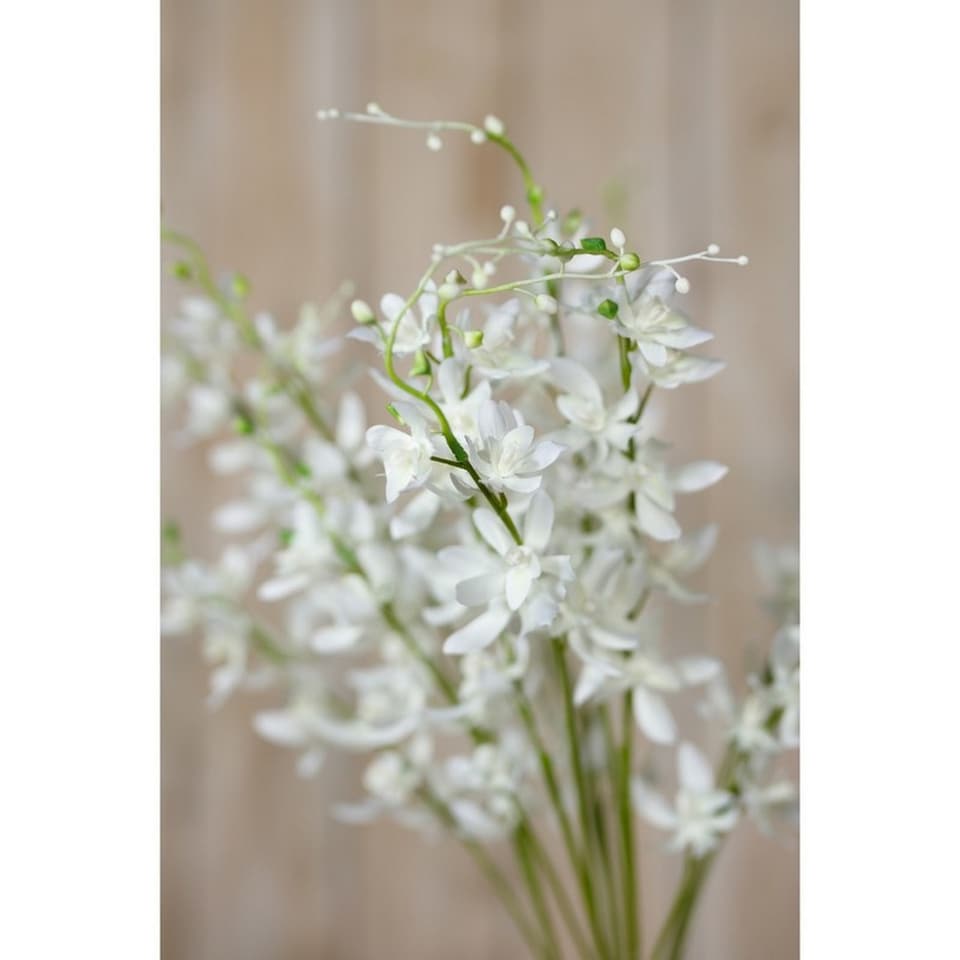 image 1 of Cymbidium Spray (Single Stem Flower) - Plastic - L10 x W24 x H95 cm - White