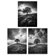 image 1 of Set of 3 Tree Hill Black White Photographs Countryside Landscape Wall Art Print A4