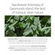 image 3 of ROUND LAB Mugwort Calming Mask