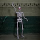 image 2 of 5ft (1.5m) Full Body Halloween Standing Skeleton with Posable Joints & Red LED Eyes