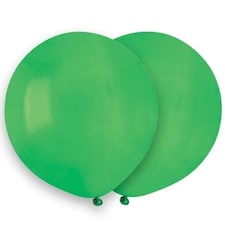 Winter Green Bio Latex Balloons 48cm / 19 in - Pack of 25