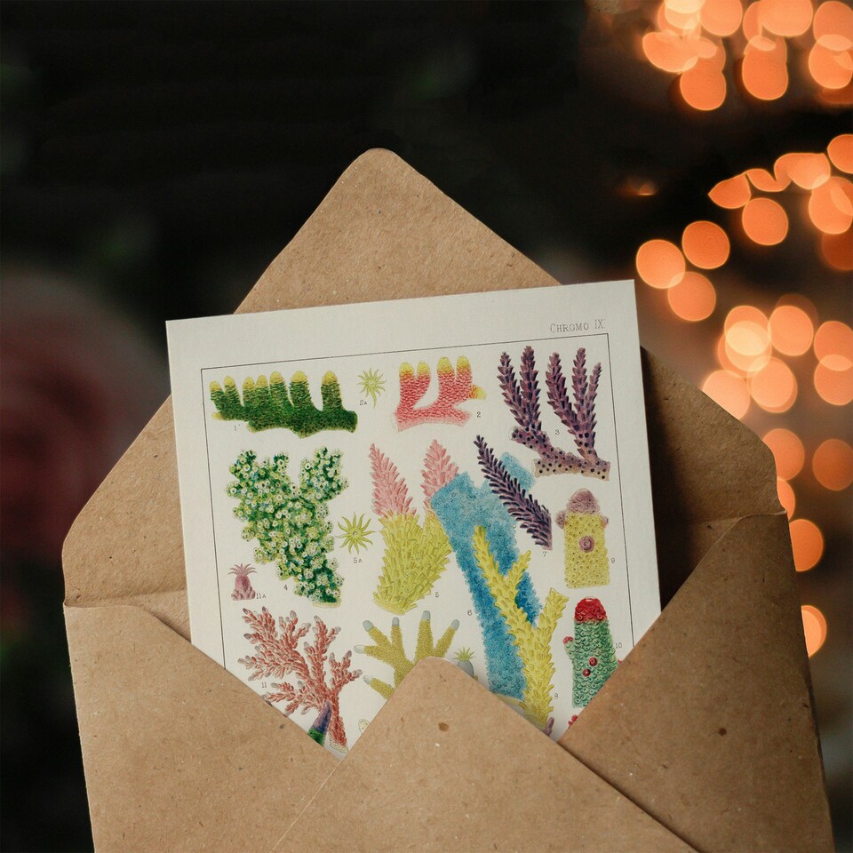 image 1 of William Saville Kent Art Card Great Barrier Reef Corals