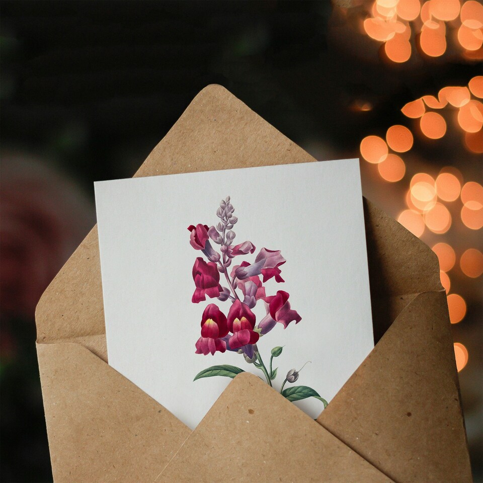 image 1 of Pierre-Joseph Redouté Art Card Antirrhinum Dragon Flowers